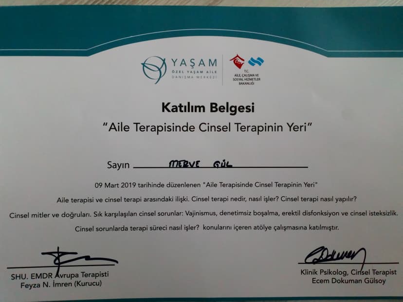 Aile Terapisinde Cinsel Terapinin Yeri