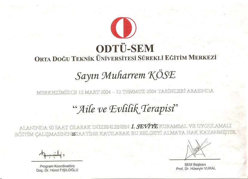 Pozitif Aile Terapisi