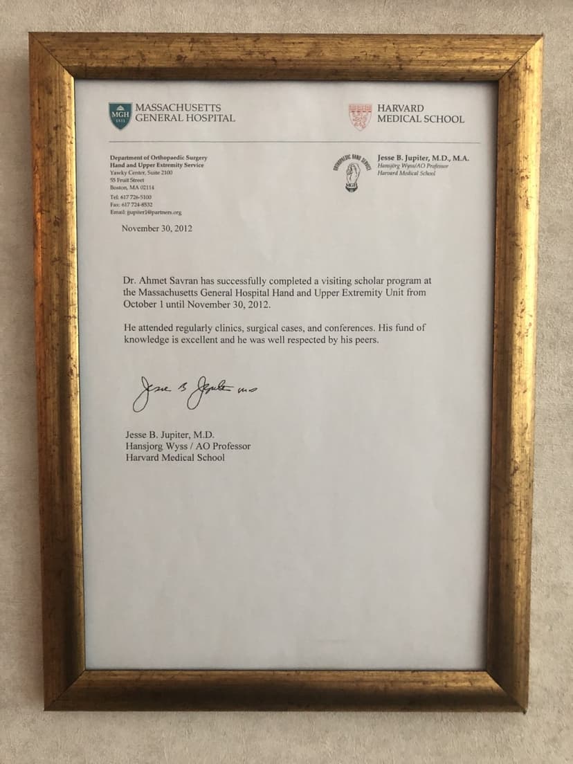 Observer Fellow-Harvard