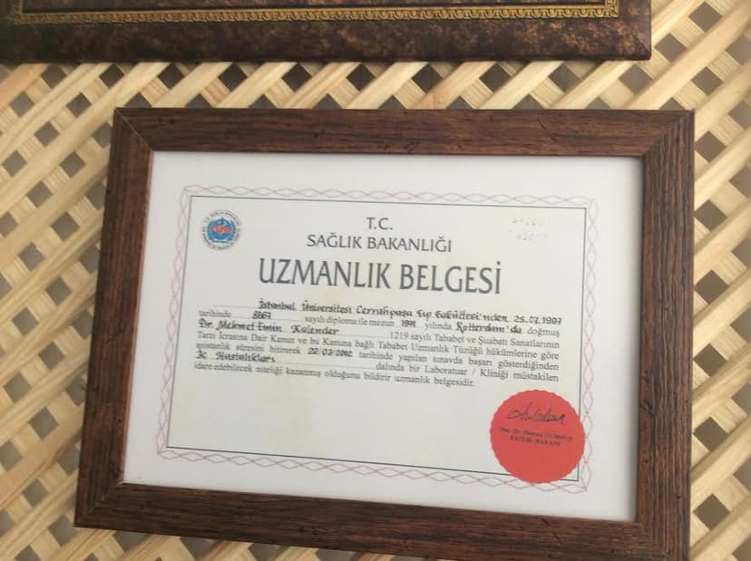 Uzmanlık Belgesi