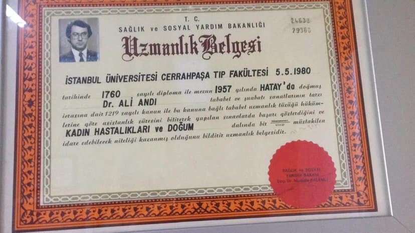 Uzmanlık Belgesi