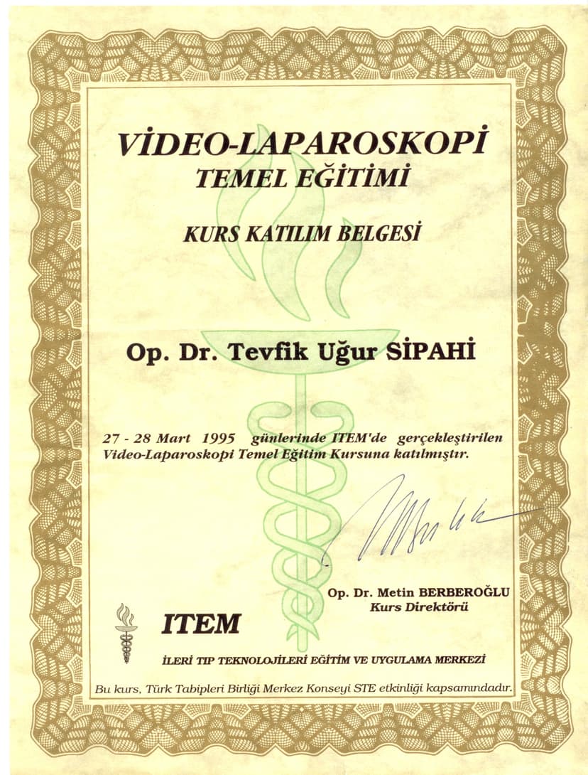 Video-laparoskopi Temel Eğitimi