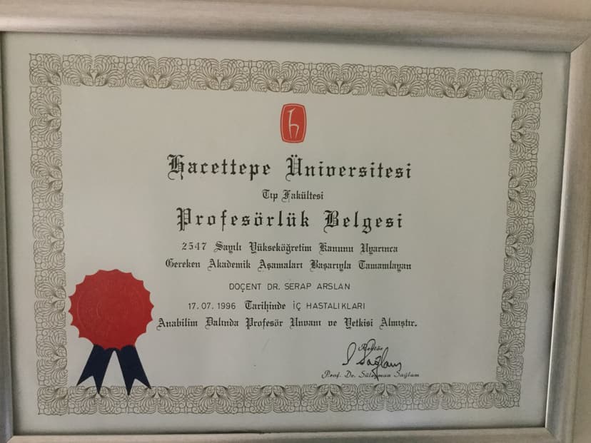 Profesörlük Belgesi