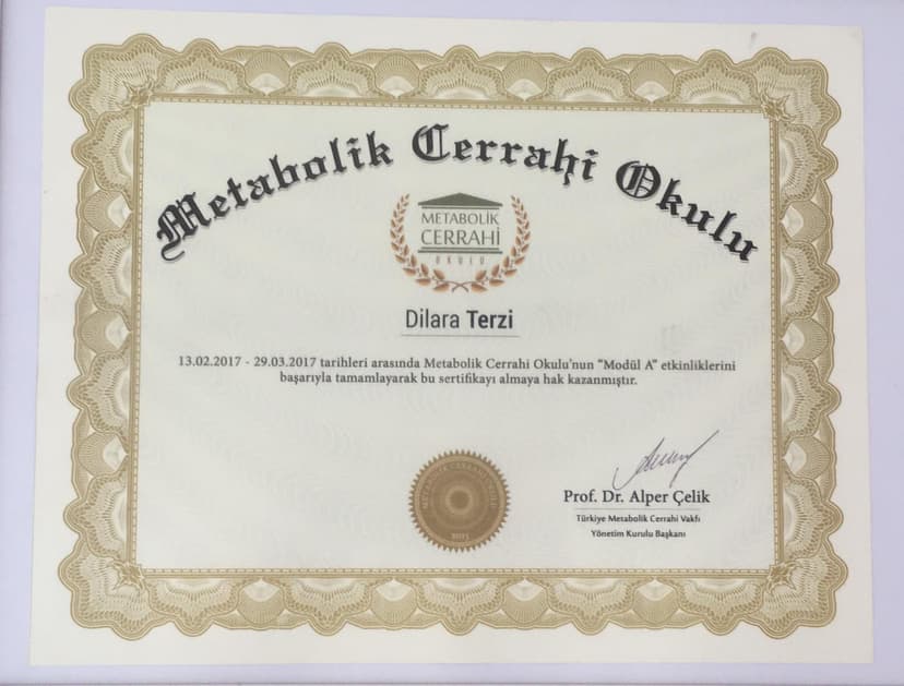 Metabolik cerrahi okulu sertifikası