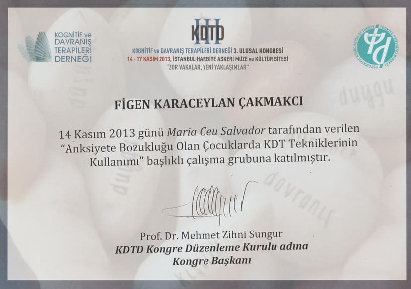 Kognitif ve Davranış Terapileri Derneği