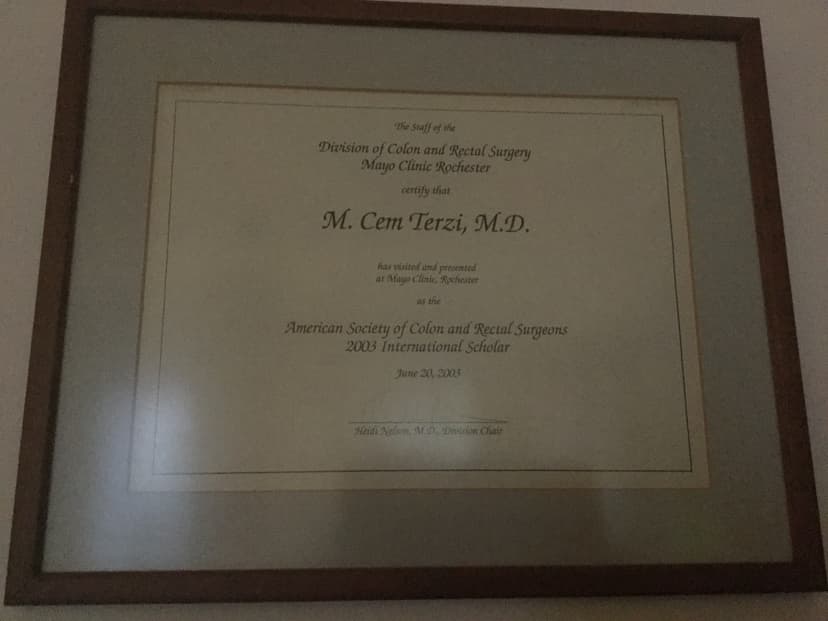 The Staff of the Division of Colon and Rectal Surgery Mayo Clinic Rochester