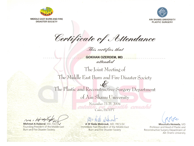 Yurtdışı Katılım