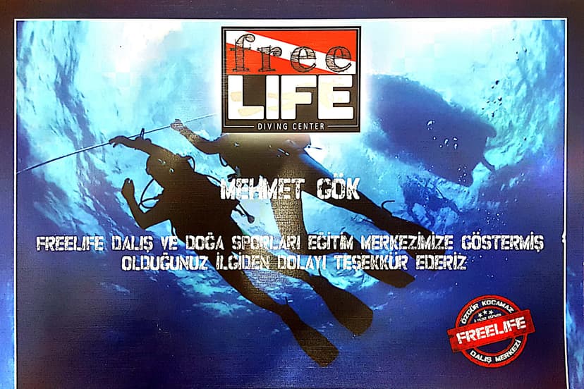 Dalış Sertifikası