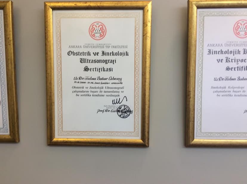 Obstetrik ve Jinekolojik Ultrasonografi Sertifikası