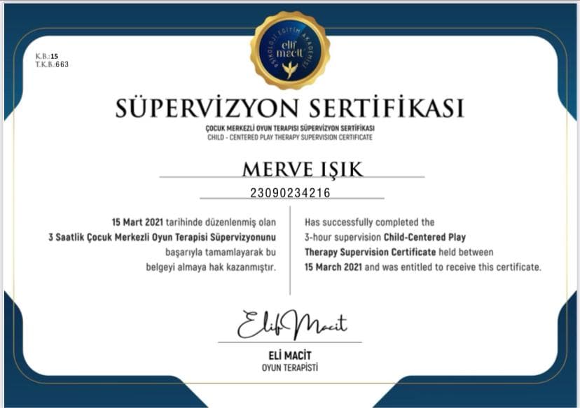 Çocuk Merkezi Oyun Terapisi Süpervizyonu