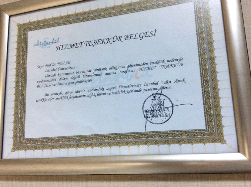 Hizmet Teşekkür Belgesi
