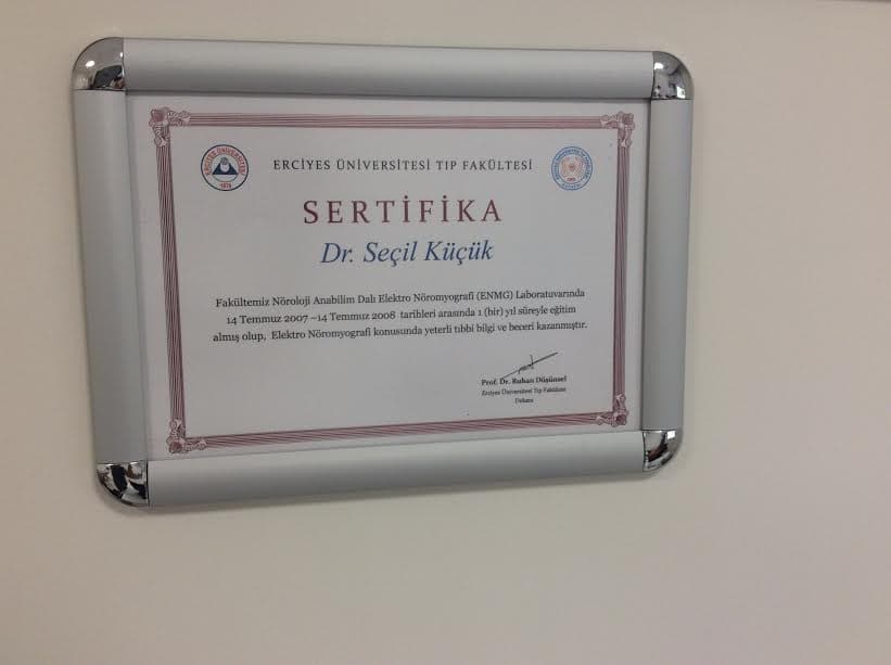 Sertifika
