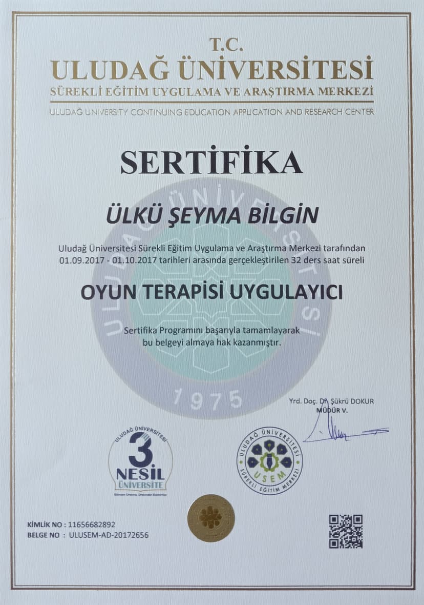 Oyun Terapisi