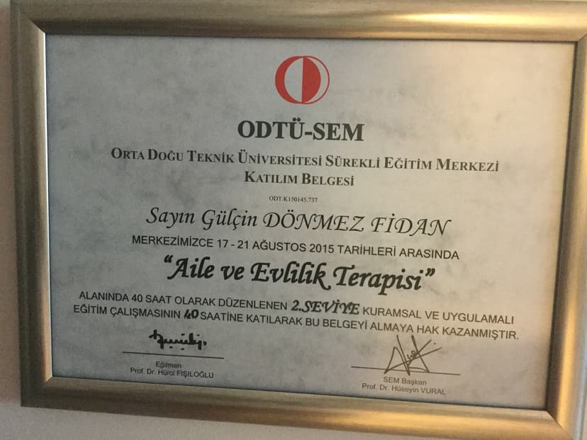 Aile ve Evlilik Terapisi