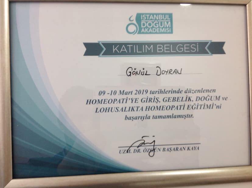 Homeopatiye Giriş