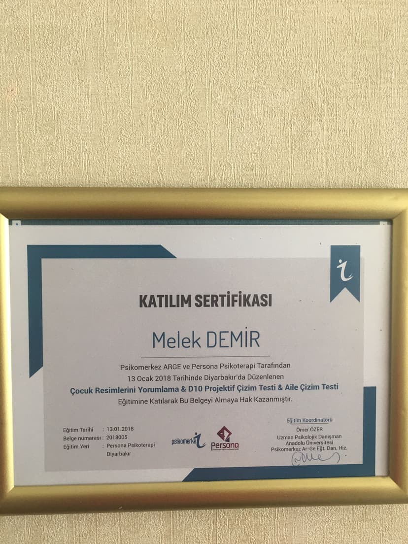 ÇOCUK TESTLERİ UYGULAYICISI