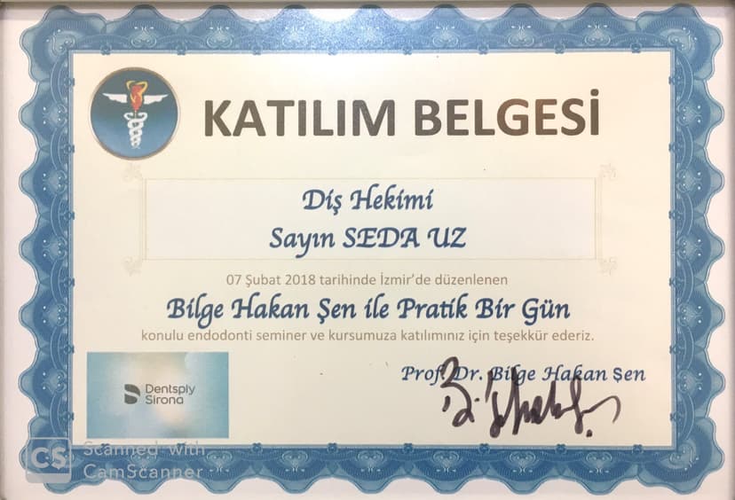 Endodonti (Kanal Tedavisi)