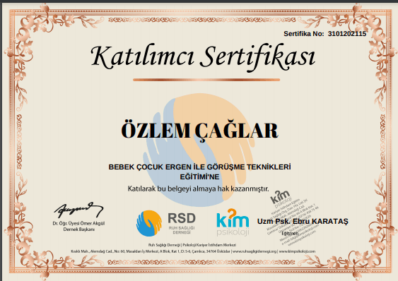 BEBEK ÇOCUK ERGEN İLE GÖRÜŞME TEKNİKLERİ