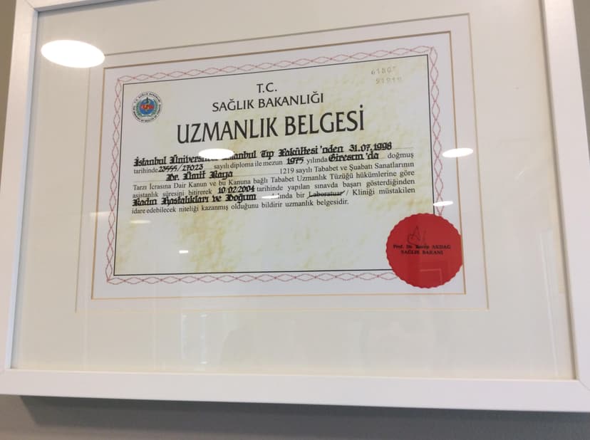 Uzmanlık Belgesi