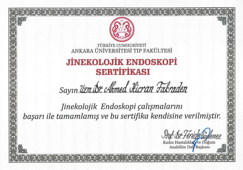 Jinekolojik Endoskopi Sertifikası