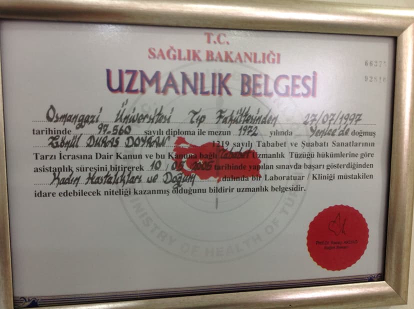 Uzmanlık Belgesi