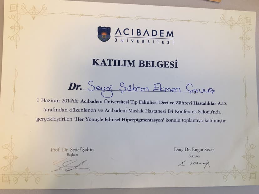 Katılım Belgesi