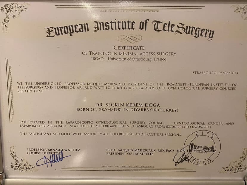 Certificate of Gynecological and Gynecologic Cancer Laparoscopic Approach (IRCAD), Fransa Strassbourg Üniversitesi, 2013
