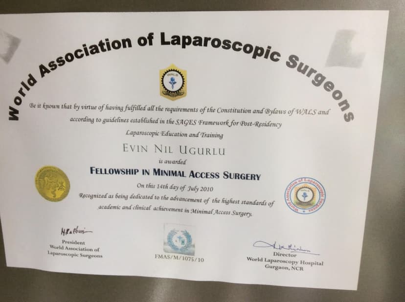 World Association of Laparoscopic Surgeons