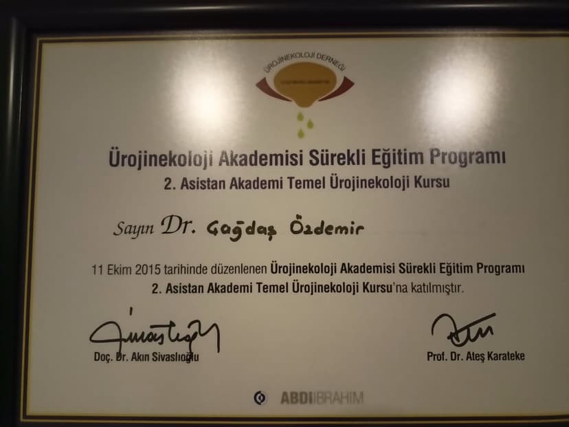 ÜROJİNEKOLOJİK CERRAHİ