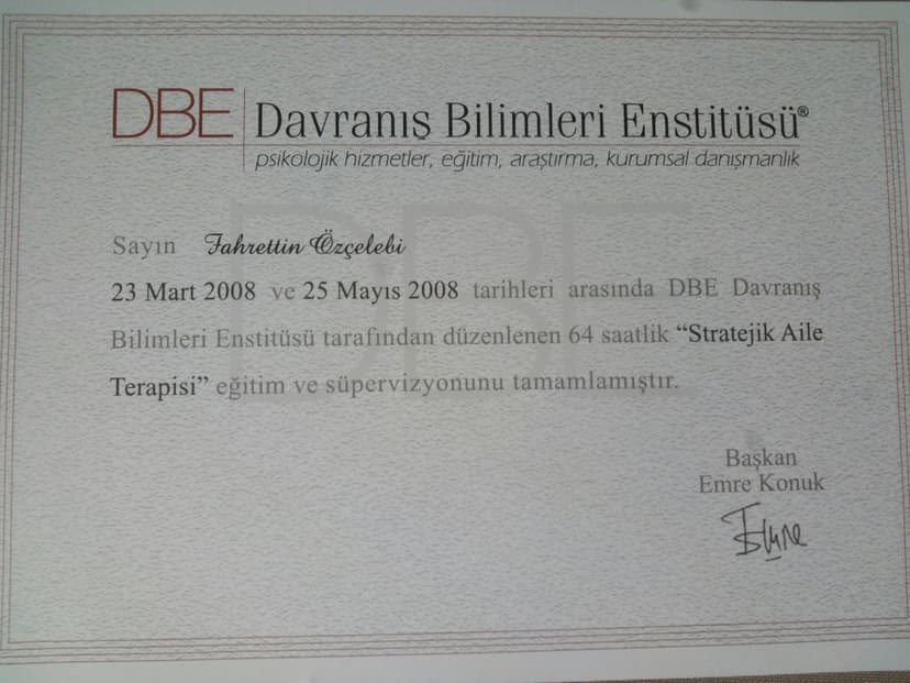 Stratejik Aile Terapisi Sertifikası