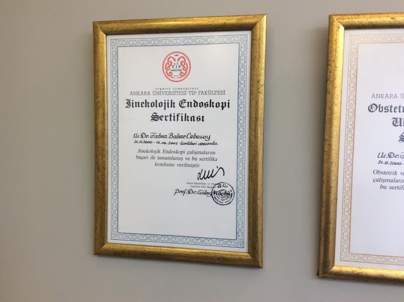 Jinekolojik Endoskopi Sertifikası