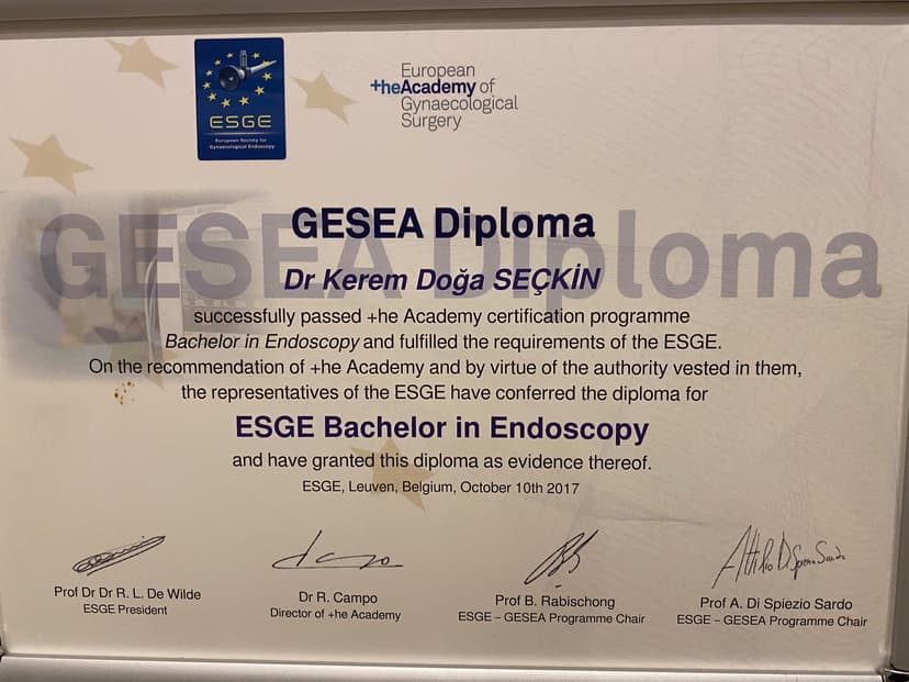 Diploma of ESGE Bachelor in Endoscopy. +he Academy, Leuven, Belgium, October, 2017