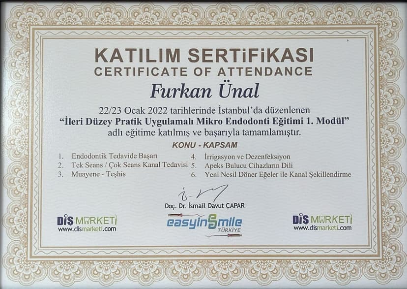 İleri Düzey Endodonti Eğitimi