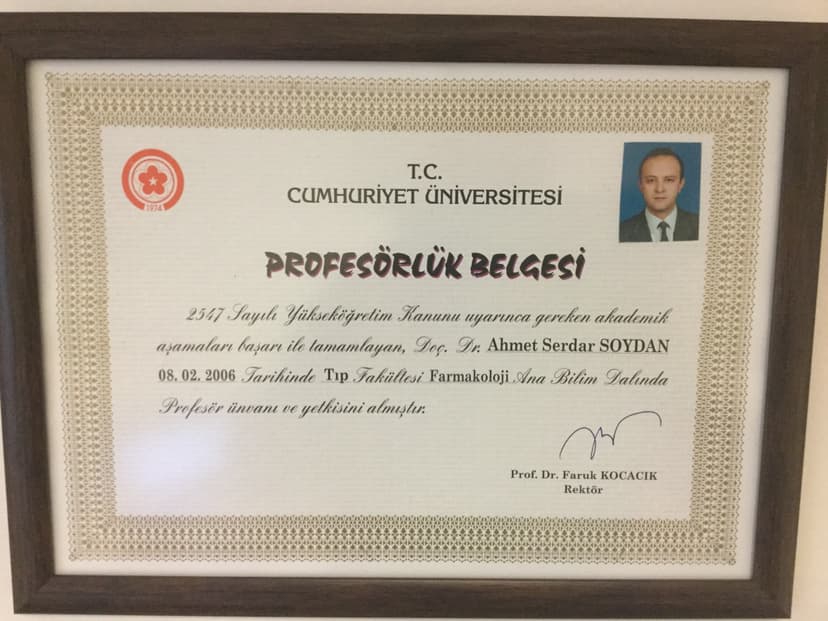 Profesörlük Belgesi