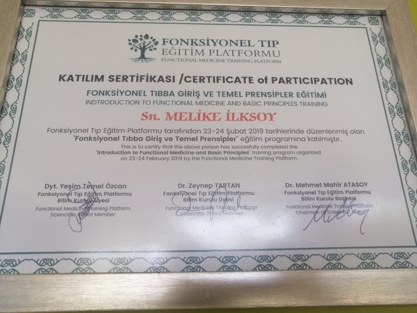 FONKSİYONEL TIBBA GİRİŞ VE TEMEL PRENSİPLER  EĞİTİMİ
