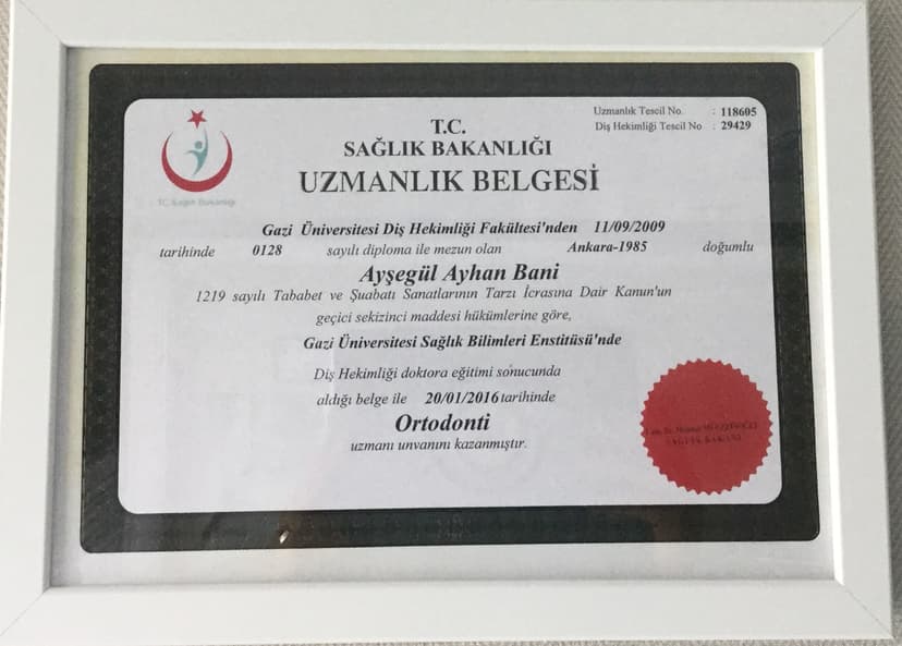 Uzmanlık Belgesi