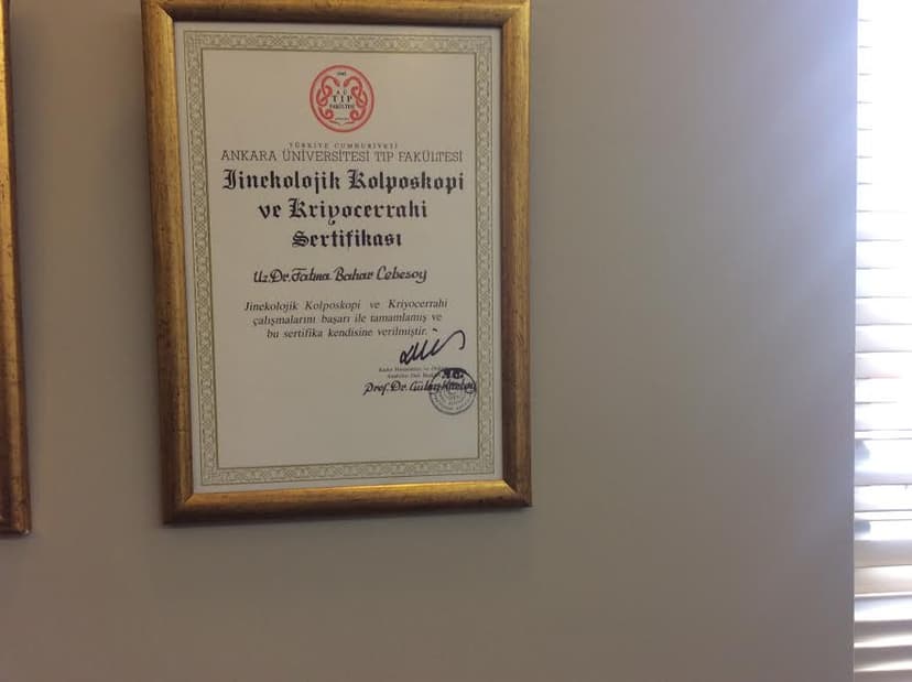 Jinekolojik Kolposkopi ve Kriyocerrahi Sertifikası