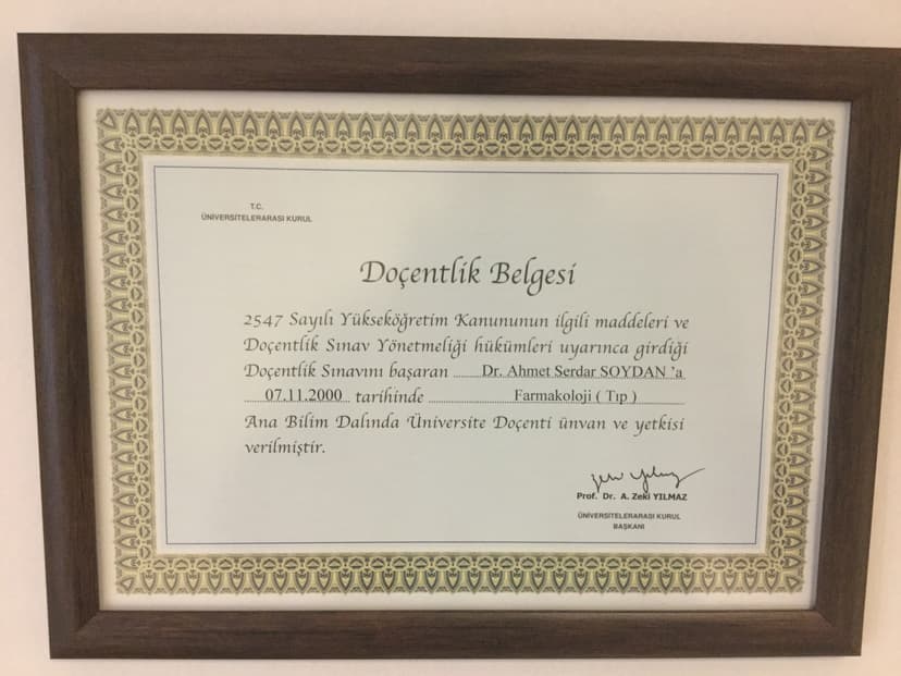 Doçentlik Belgesi