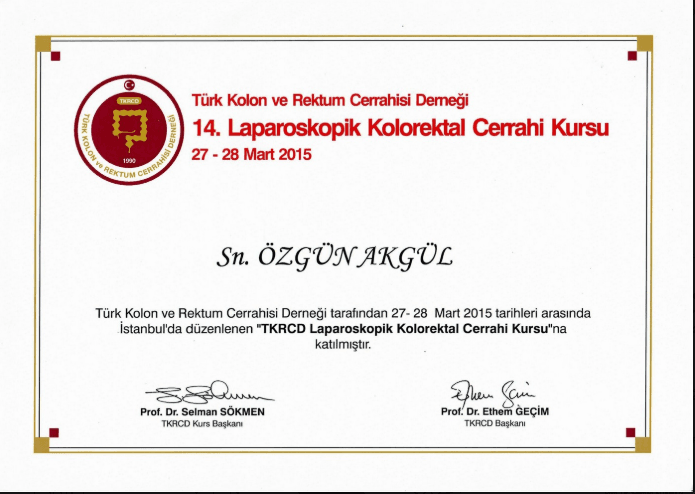 14. Laparoskopik Kolorektal Cerrahi Kursu