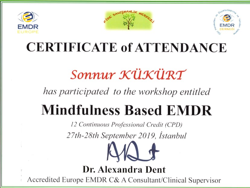 Mindfulness EMDR