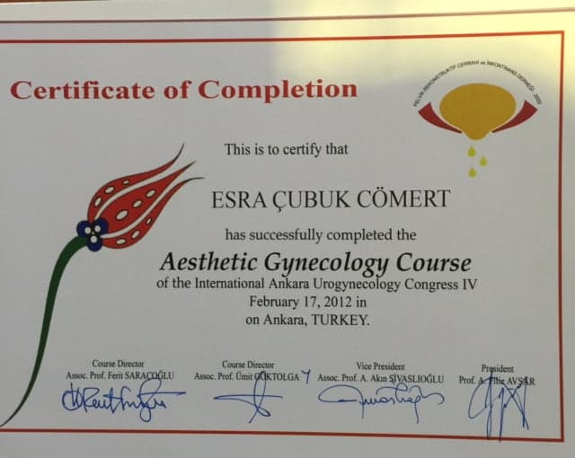 Aesthetic Gynekology Course