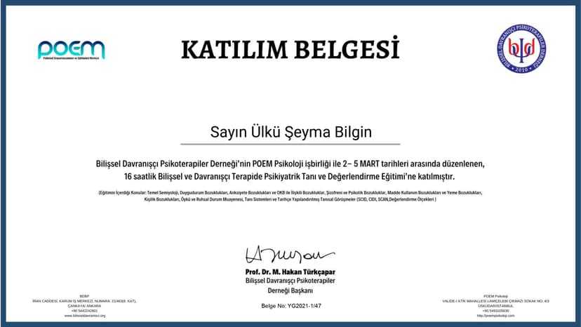 Bilişsel Davranışçı Terapide Psikiyatrik Tanı ve Değerlendirme