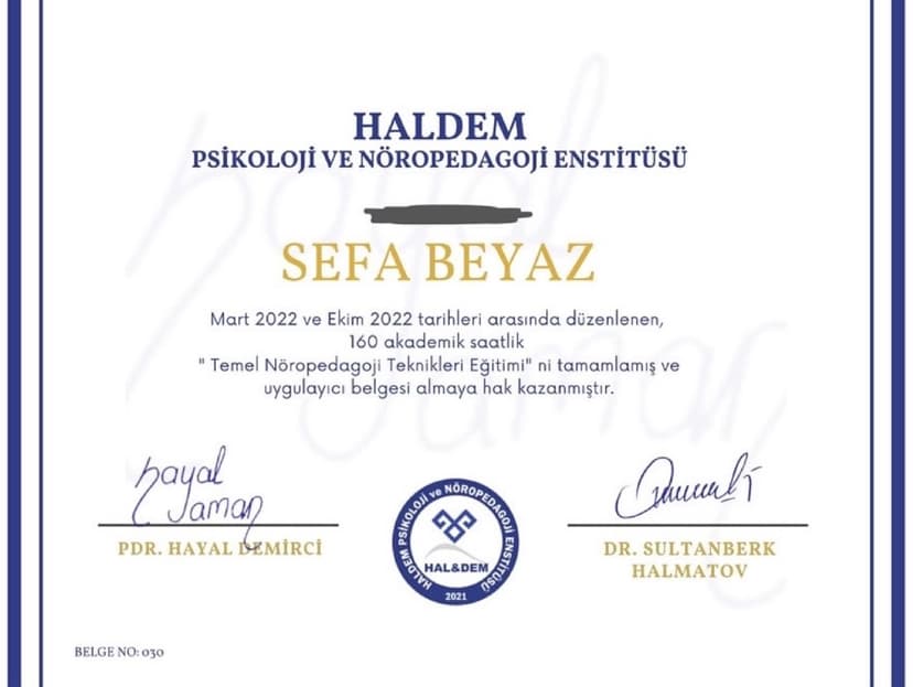 Nöropedagoji Teknikleri