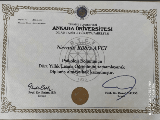 Lisans Diploması