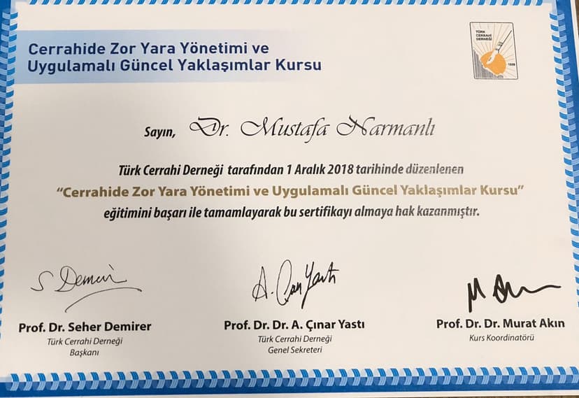 Cerrahide Zor Yara Yöntemi ve Uygulamalı Güncel Yaklaşımlar Kursu