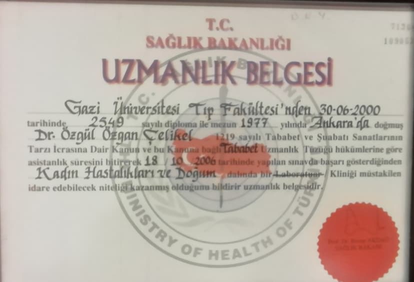 Uzmanlık Belgesi