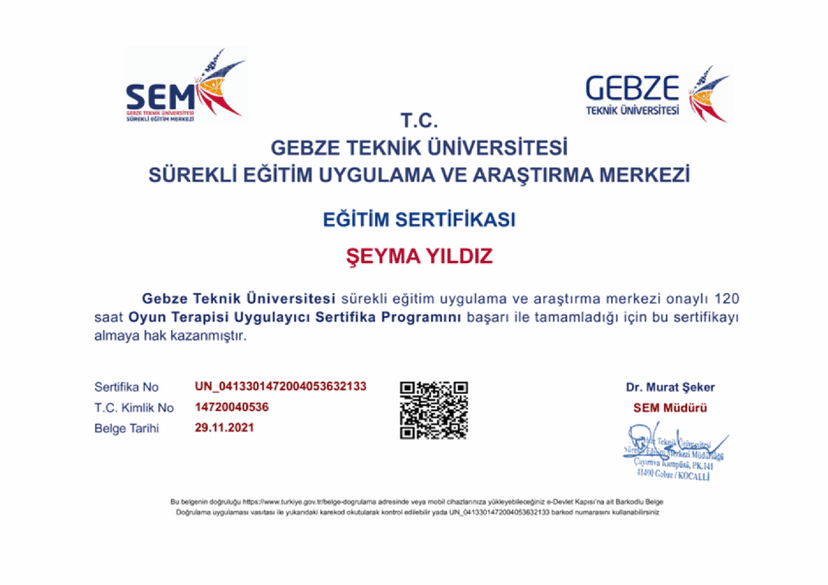 Oyun Terapisi Uygulacı Eğitimi