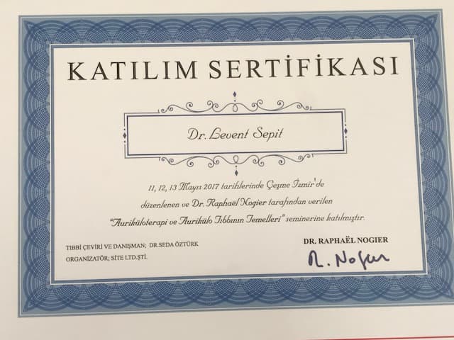 Auriküloterapi ve aurikülotıbbının temelleri