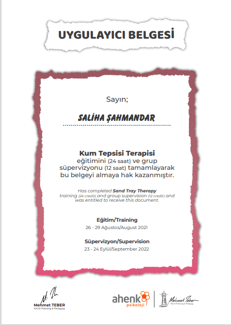 Kum Tepsisi Terapisi