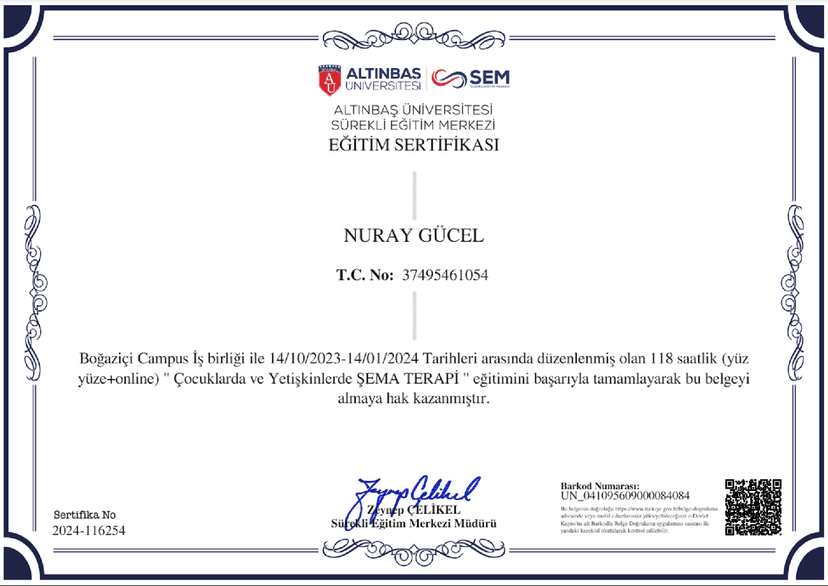 Çocuklarda ve Yetişkinlerde Şema Terapi Eğitimi